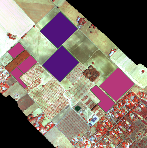Airborne hyperspectral mosaic covering experimental fields and orchards at El Chaparrillo on 12 June 2026