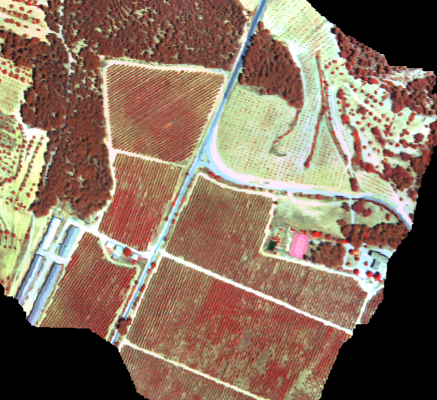 Airborne hyperspectral mosaic of agricultural monitoring sites in Valencia on 3 July 2026