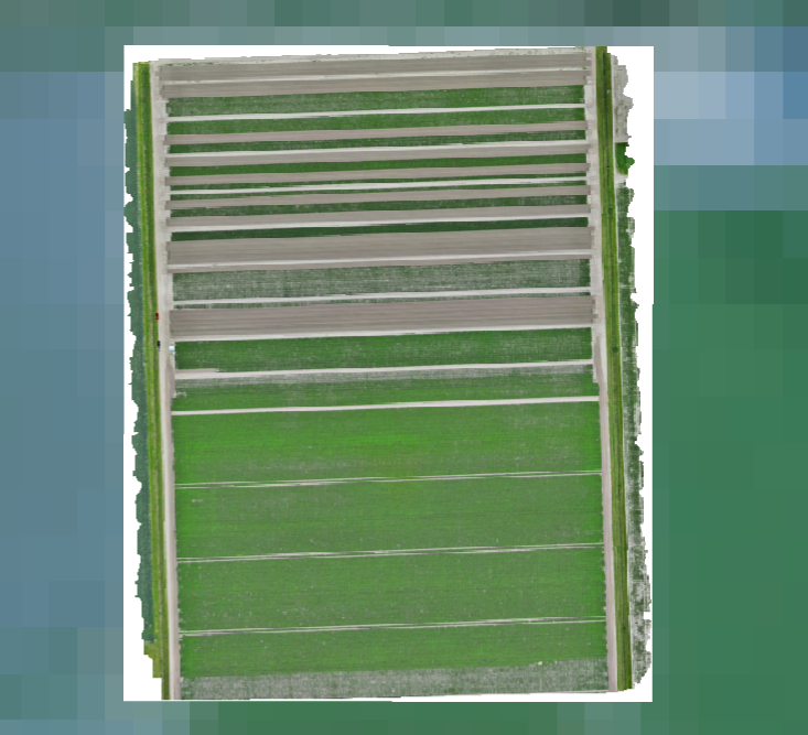 Detailed UAV mosaic of potato experiments in Lelystad on 21 July 2026