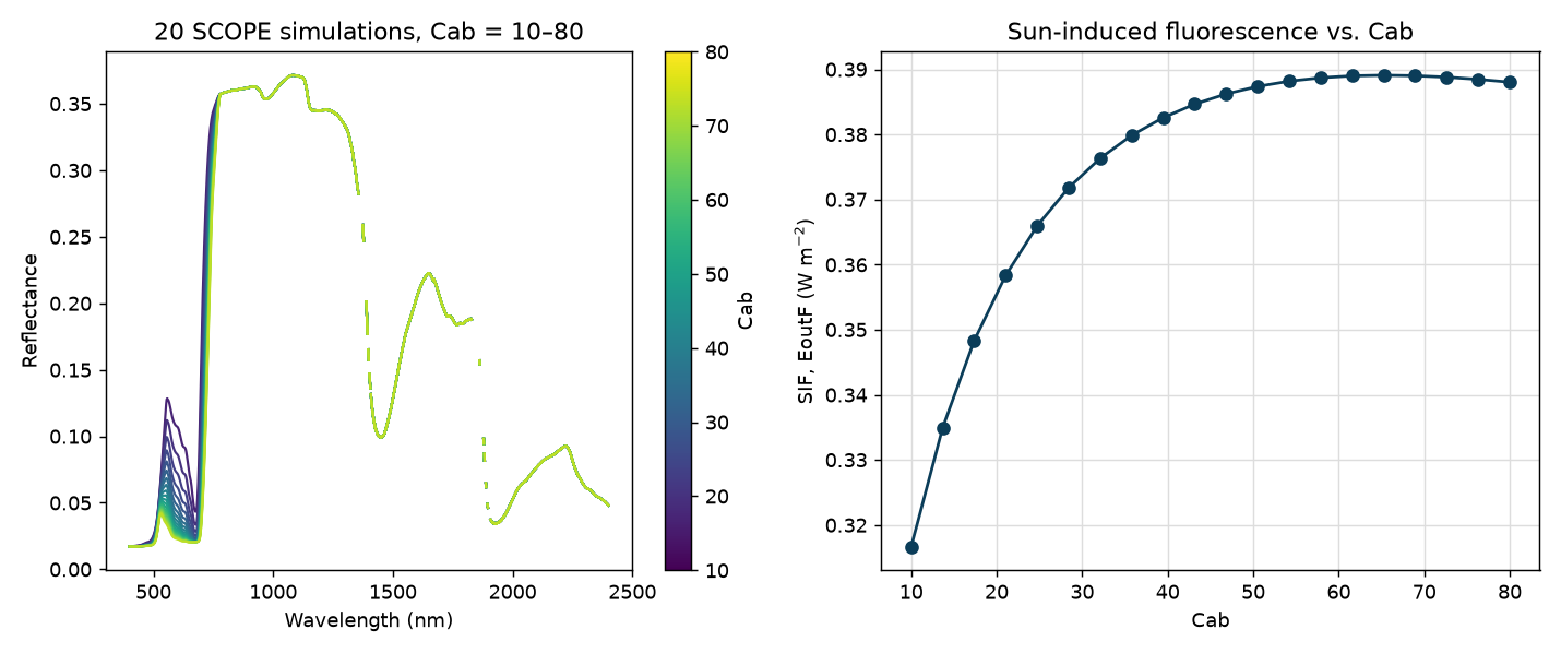 SCOPE simulations showing reflectance spectra and sun-induced fluorescence response to chlorophyll content